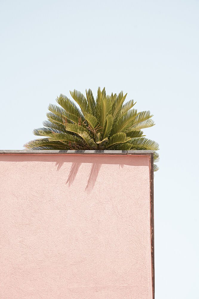 Tropical Pink Corner art print by Henrike Schenk for $57.95 CAD