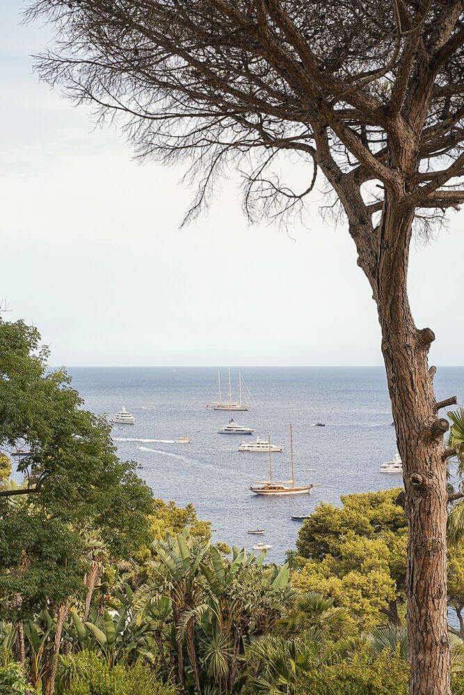 Serene Coastal Yacht View art print by Henrike Schenk for $57.95 CAD