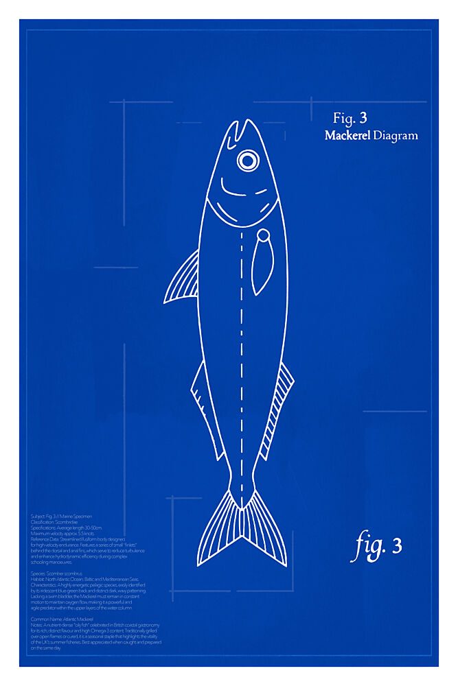 Mackerel Blueprint Diagram art print by Cartissi for $57.95 CAD