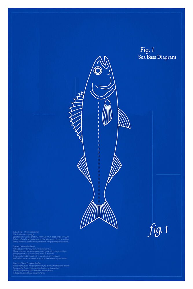 Sea Bass Blueprint art print by Cartissi for $57.95 CAD