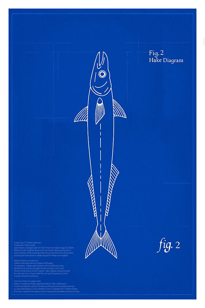 Hake Fig. 2 the Deep-Water Nomad art print by Cartissi for $57.95 CAD