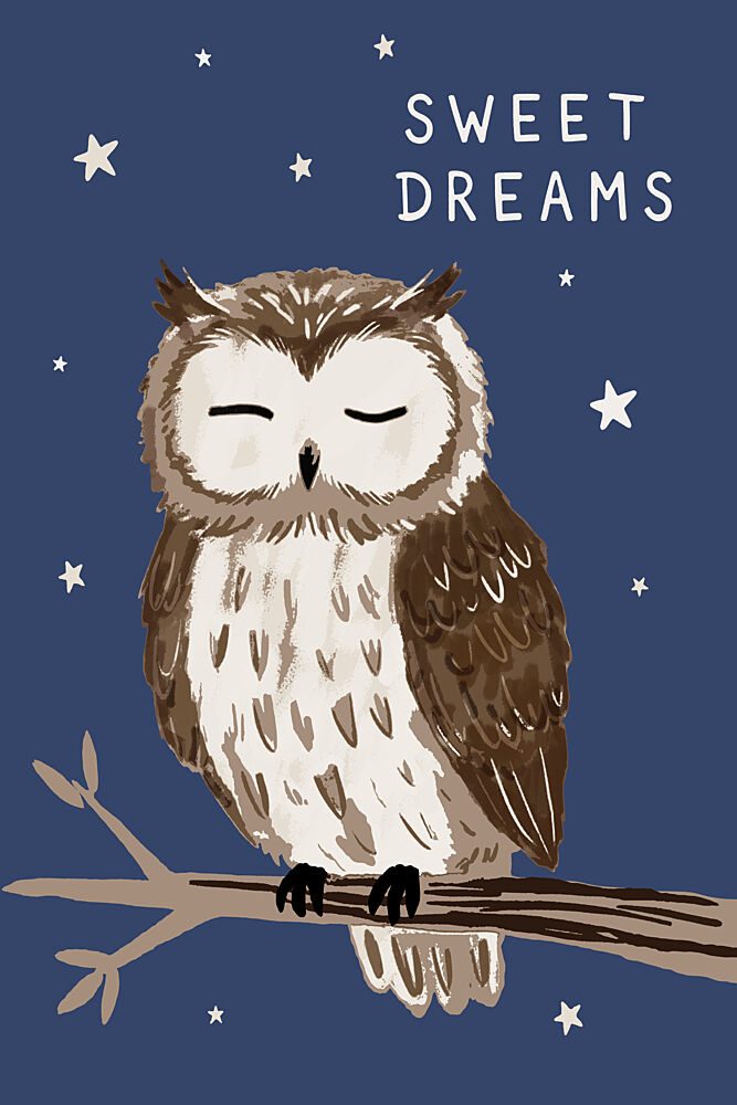 Sweet Dreams Sleeping Owl art print by Casa Cartissi for $57.95 CAD