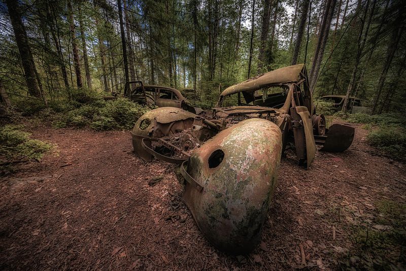 Natures Car Graveyard art print by Benny Pettersson for $57.95 CAD