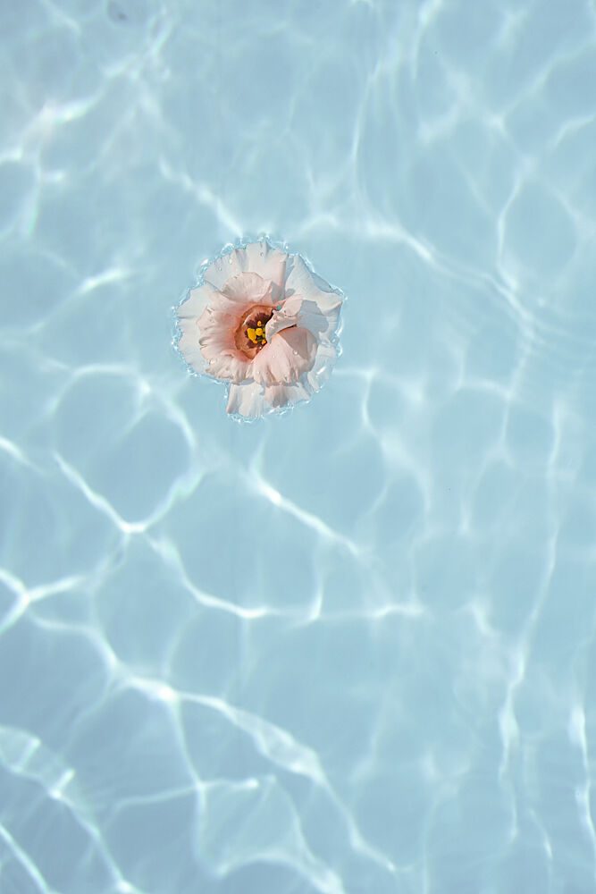 Serene Water Bloom art print by Henrike Schenk for $57.95 CAD