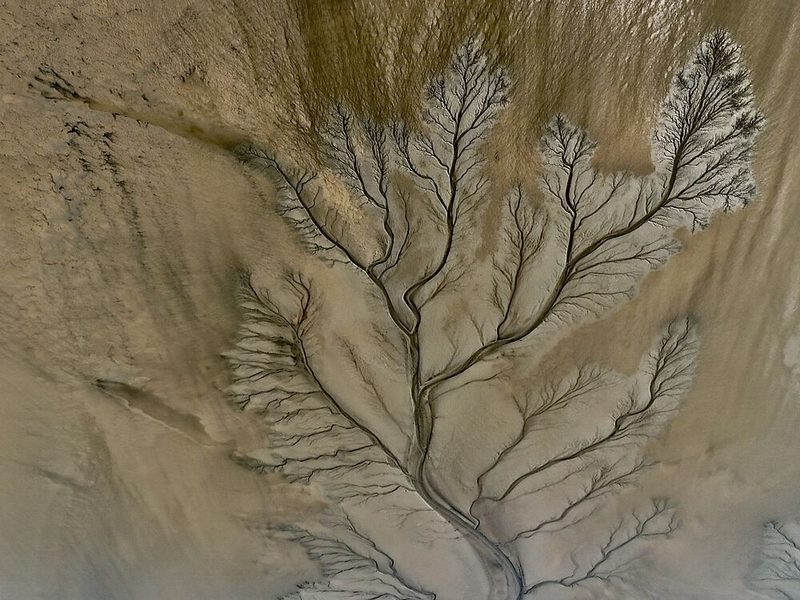 Aerial River Delta art print by Shanrui Ren for $57.95 CAD