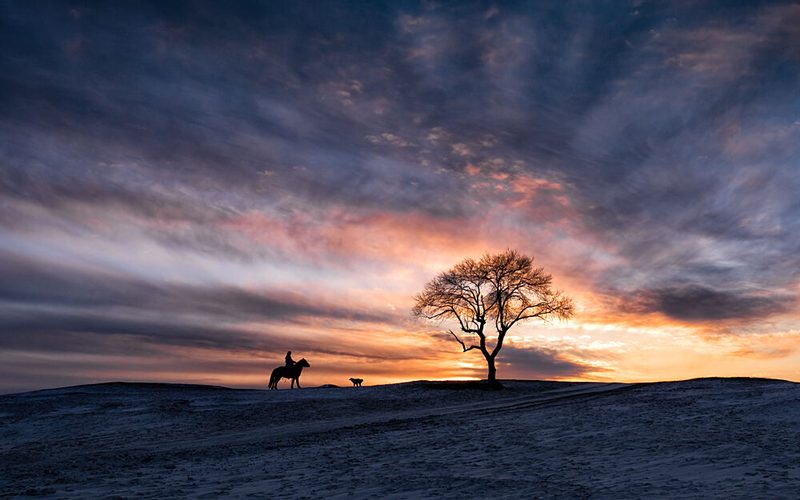 Winter Sunset Horse Ride art print by Songlin Xu for $57.95 CAD