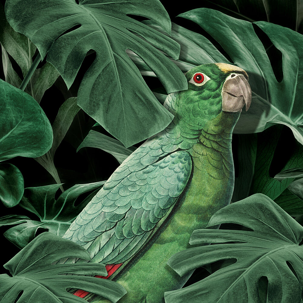 Green Parrot Gaze art print by Marja van den Hurk for $57.95 CAD