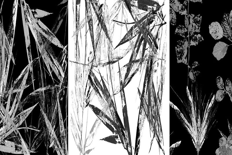 Monochrome Botanical Study art print by Cartissi for $57.95 CAD