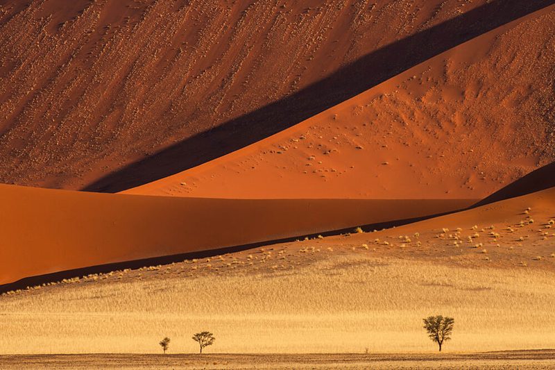 Golden Dunes and Desert Shadows art print by Johan Enslin for $57.95 CAD