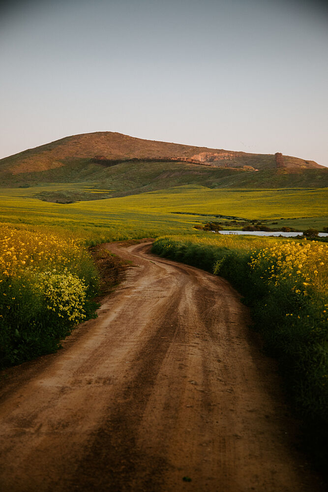 Winding Country Road art print by Megan Shone for $57.95 CAD