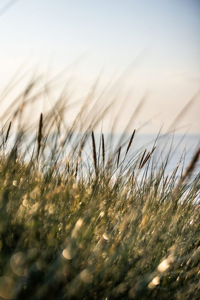 Field of Light art print by Mareike Bohmer for $57.95 CAD