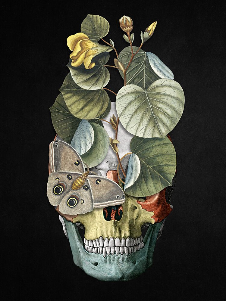 Botanical Skull and Moth art print by Marja van den Hurk for $57.95 CAD