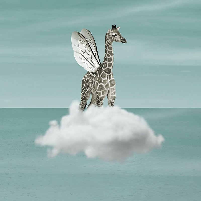 Whimsical Flying Giraffe art print by Marja van den Hurk for $57.95 CAD