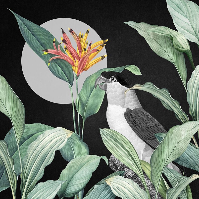 Moonlit Jungle Parrot art print by Marja van den Hurk for $57.95 CAD