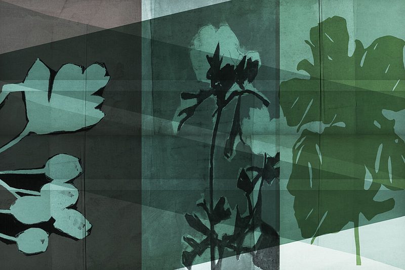 Layered Botanical Shadows art print by Cartissi for $57.95 CAD