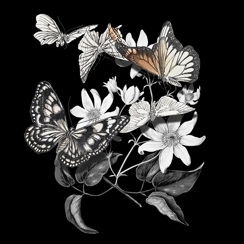 Elegant Botanical Butterflies art print by Marja van den Hurk for $57.95 CAD