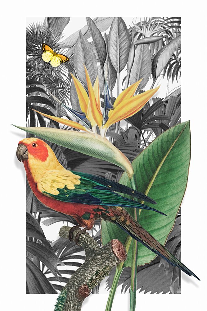 Vibrant Jungle Parrot art print by Marja van den Hurk for $57.95 CAD