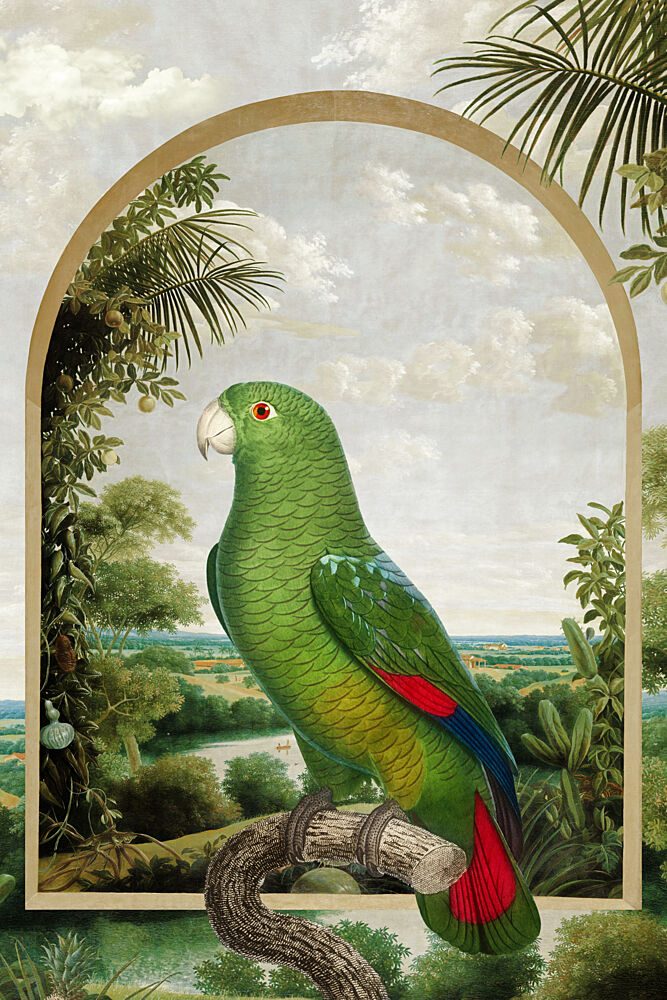 Green Parrot Jungle View art print by Marja van den Hurk for $57.95 CAD