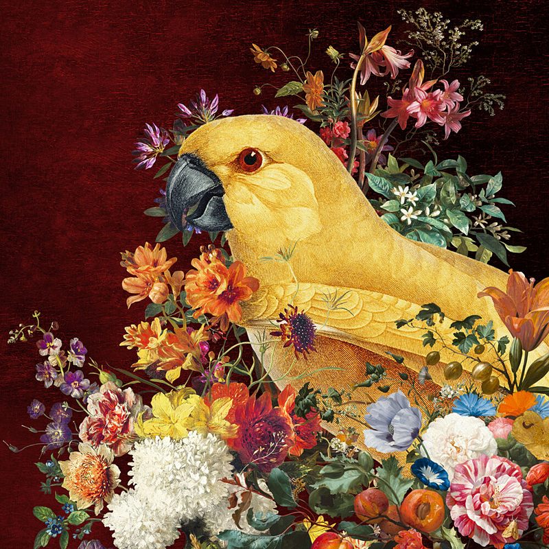 Golden Parrot Bloom art print by Marja van den Hurk for $57.95 CAD