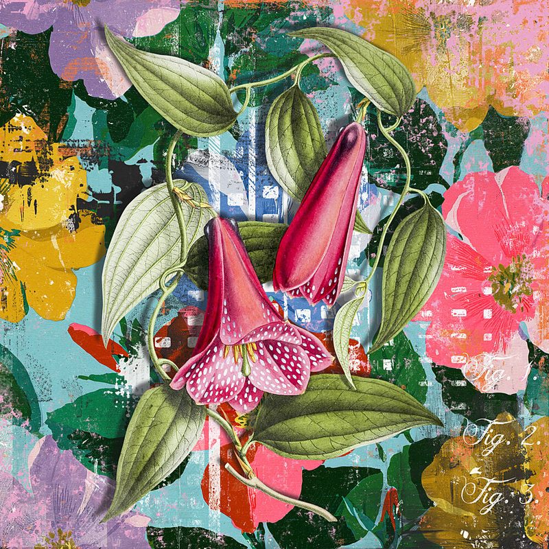 Colourful Nature art print by Marja van den Hurk for $57.95 CAD