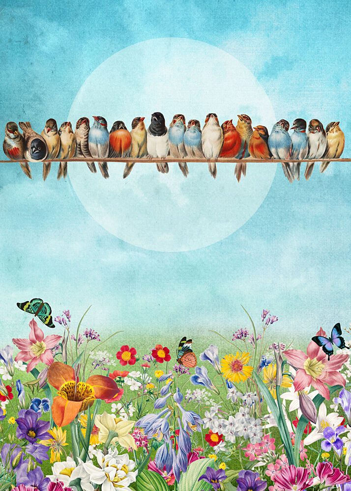 Cheerful Birds and Blooms art print by Marja van den Hurk for $57.95 CAD