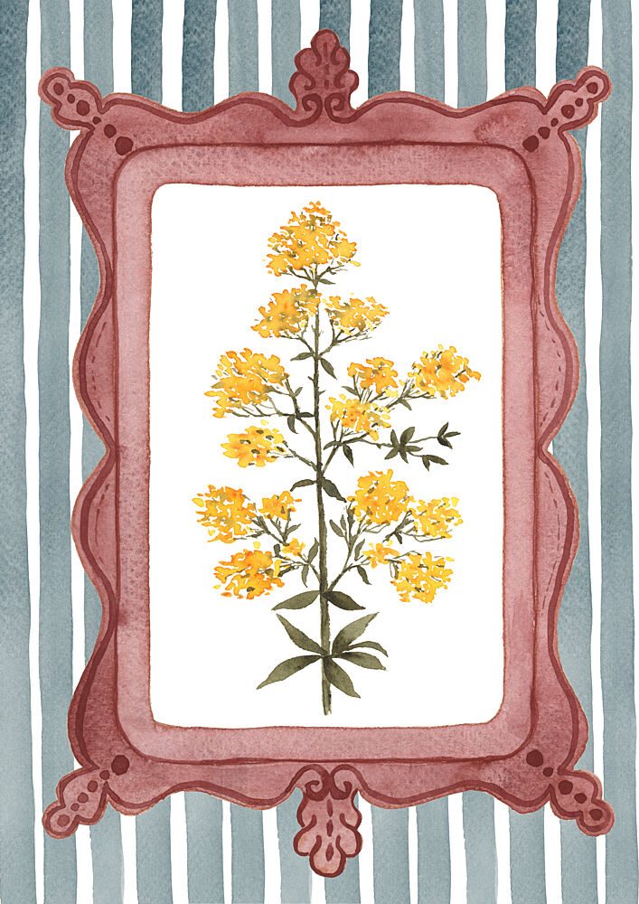 Botanical Ladys Bedstraw Illustration - Slate Blue Stripe art print by Suchi Deb for $57.95 CAD