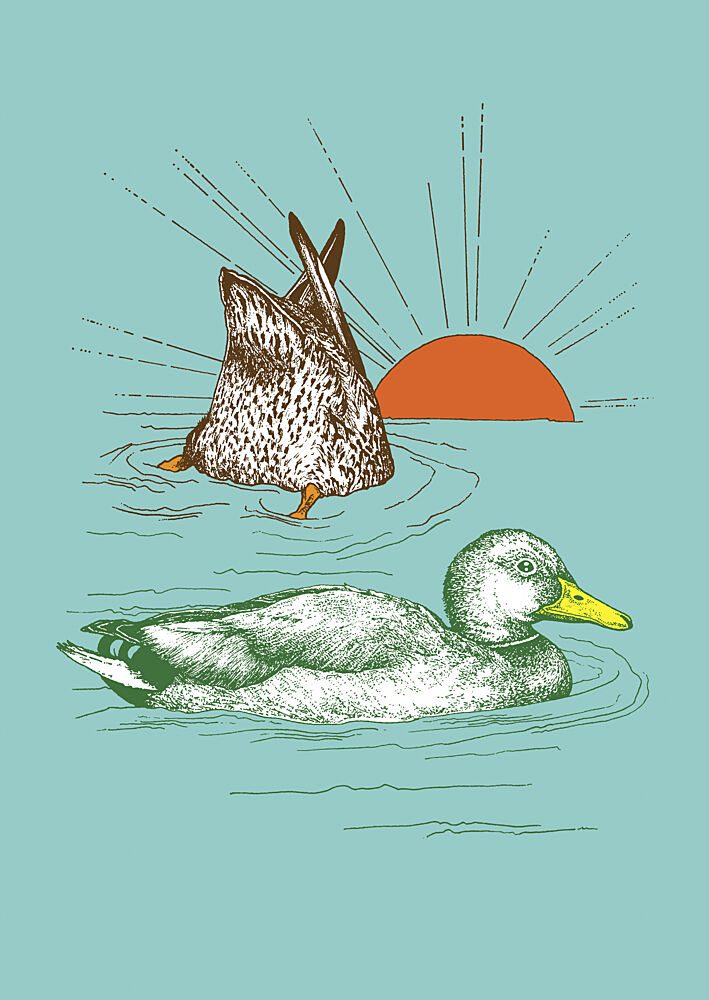 Ducks in Peaceful Water art print by Katariina Kosunen for $57.95 CAD