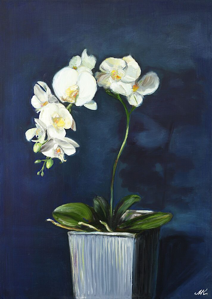 Elegant White Orchids art print by Marina Kozyr for $57.95 CAD