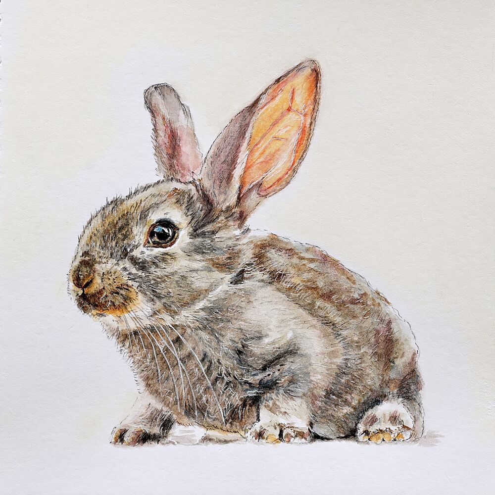 Cute Baby Bunny art print by Marina Kozyr for $57.95 CAD