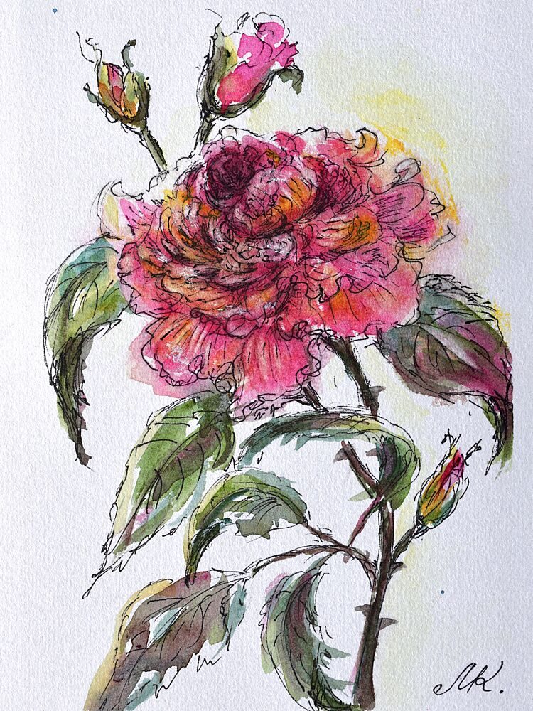 Watercolor Rose Bloom art print by Marina Kozyr for $57.95 CAD