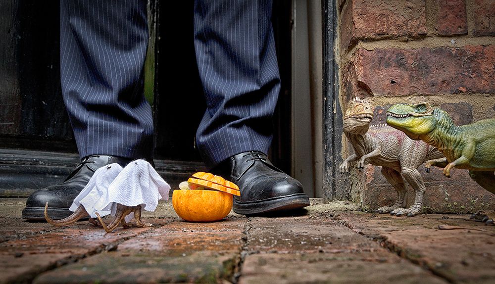 Trick Or Treat - Roary A Sid Took Waif A Stray Out Trick Or Treating As A Distraction Tactic art print by Sarah Brooke for $57.95 CAD