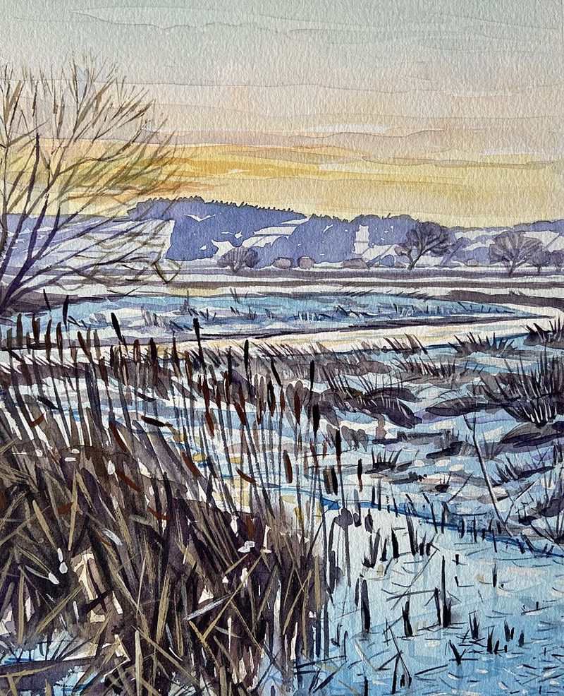 Winter Marsh Sunset art print by Luisa Millicent for $57.95 CAD