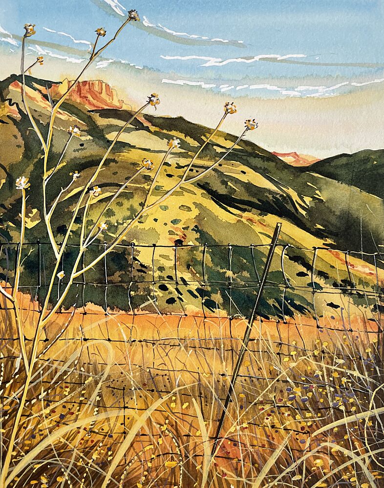 Southwest Hills and Fence art print by Luisa Millicent for $57.95 CAD