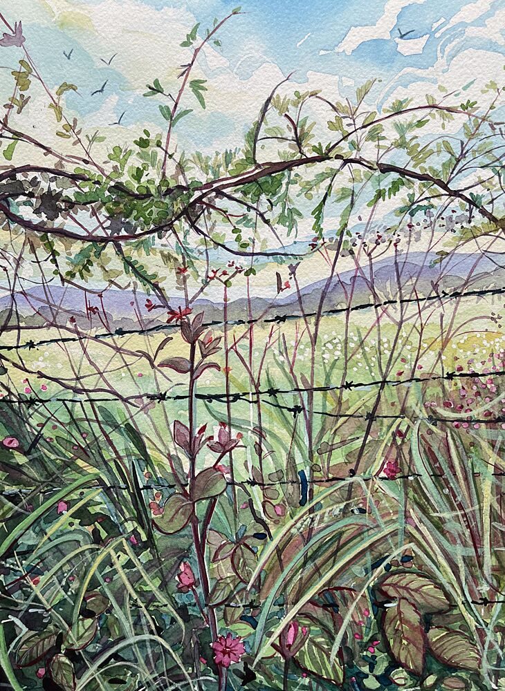 Wild Meadow Fence art print by Luisa Millicent for $57.95 CAD