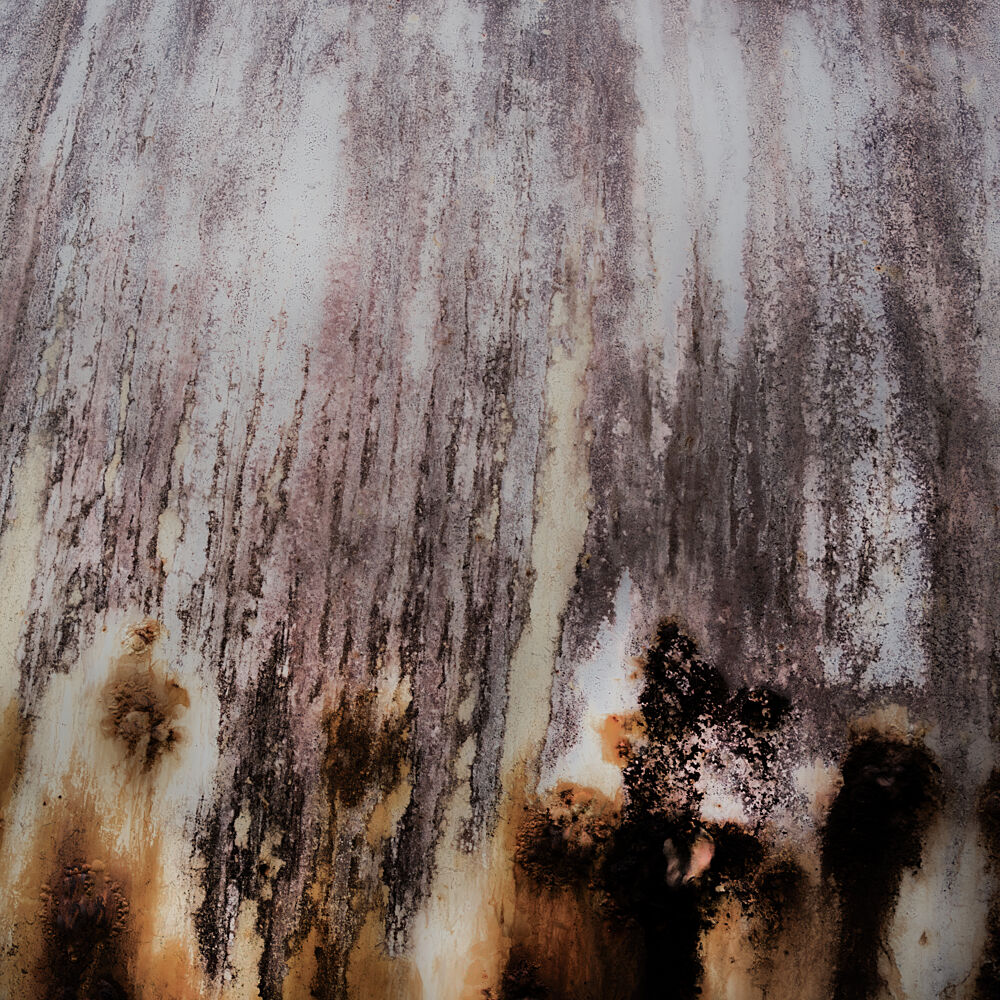 Weathered Organic Streaks art print by Studio Meikle for $57.95 CAD