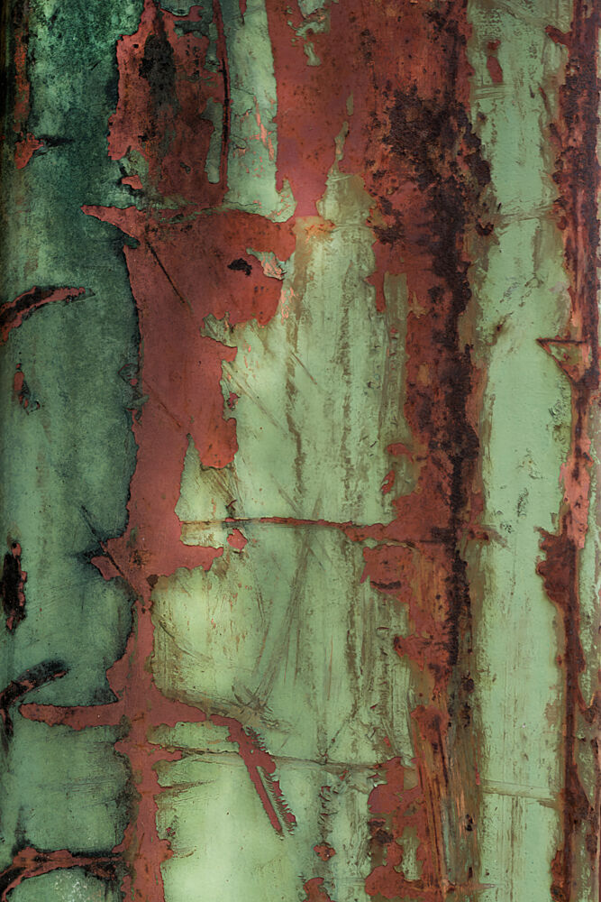 Rusty Green Texture art print by Studio Meikle for $57.95 CAD
