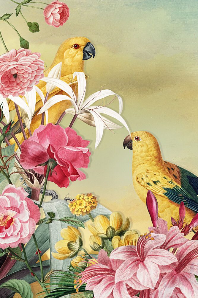 Tropical Parrots and Flowers art print by Marja van den Hurk for $57.95 CAD