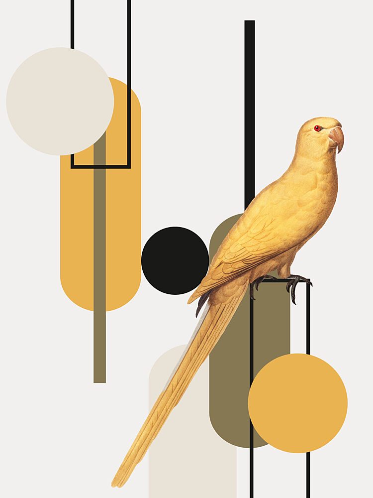 Golden Parrot Shapes art print by Marja van den Hurk for $57.95 CAD