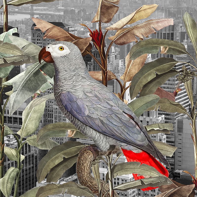 Urban Jungle Parrot art print by Marja van den Hurk for $57.95 CAD