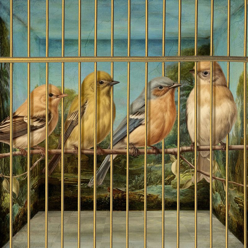 Finches in Golden Cage art print by Marja van den Hurk for $57.95 CAD