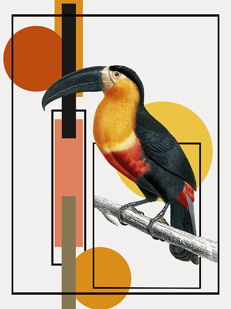 Geometric Toucan Art art print by Marja van den Hurk for $57.95 CAD