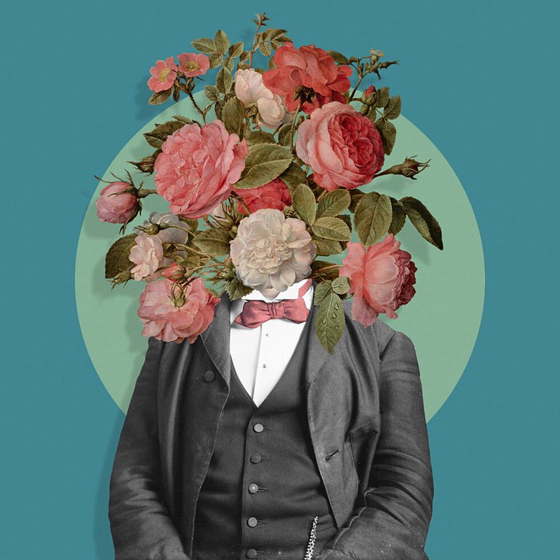 Flowering Gentleman art print by Marja van den Hurk for $57.95 CAD