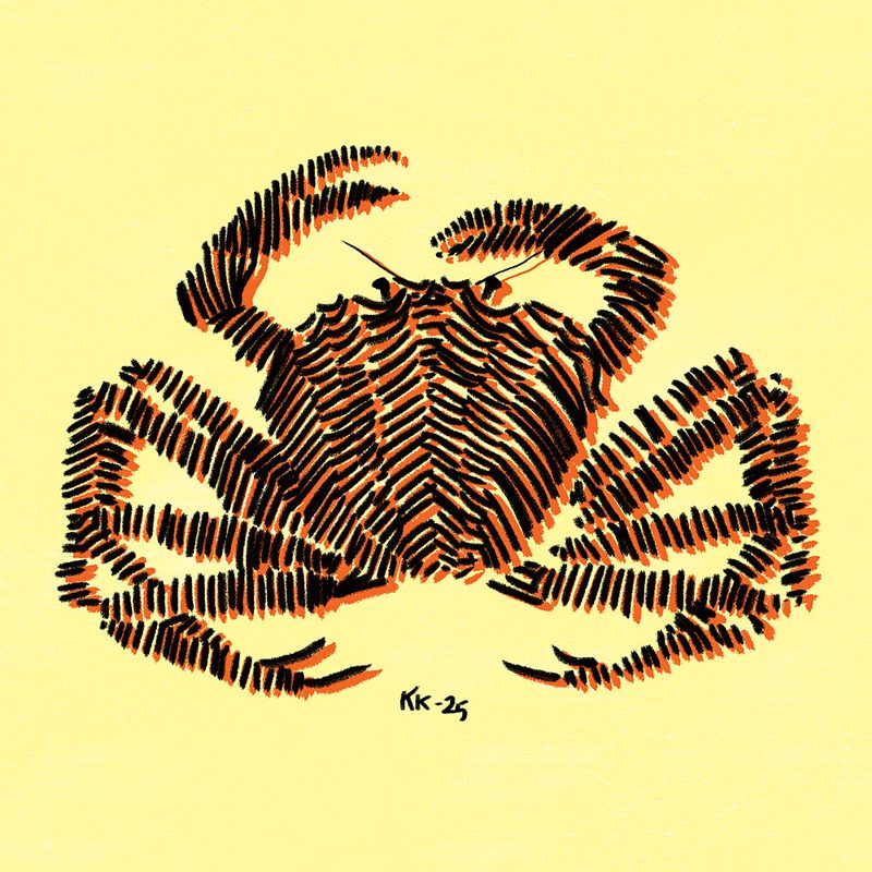 Bold Striped Crab art print by Katariina Kosunen for $57.95 CAD