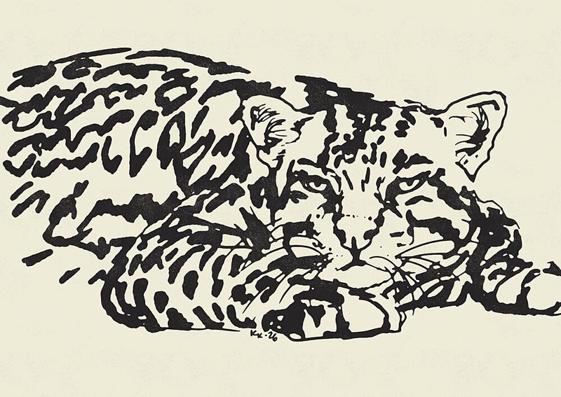 Resting Leopard Gaze art print by Katariina Kosunen for $57.95 CAD