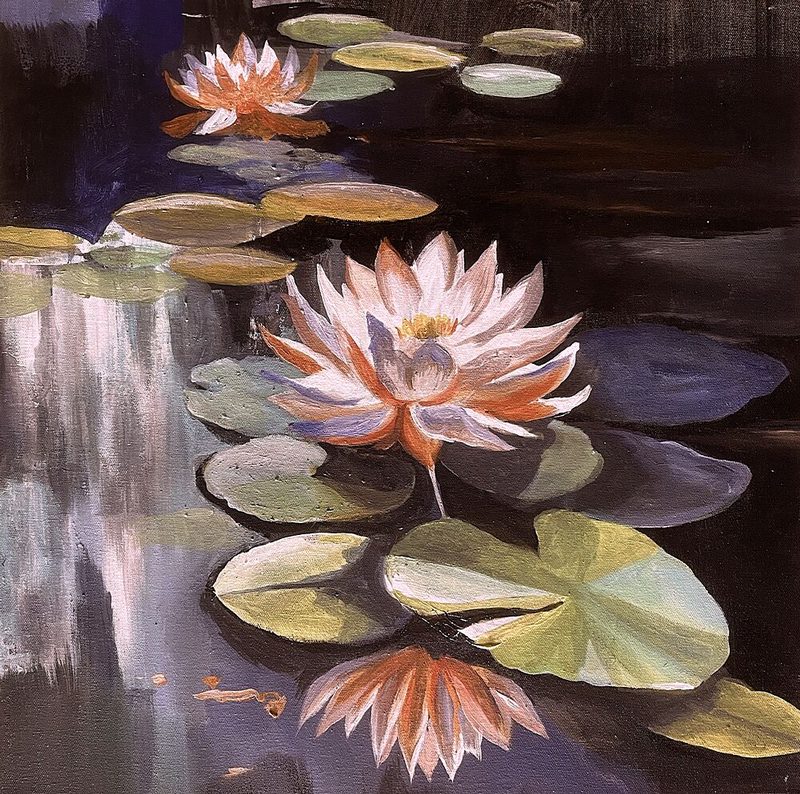 Tranquil Water Lilies art print by Santhosh Ch for $57.95 CAD