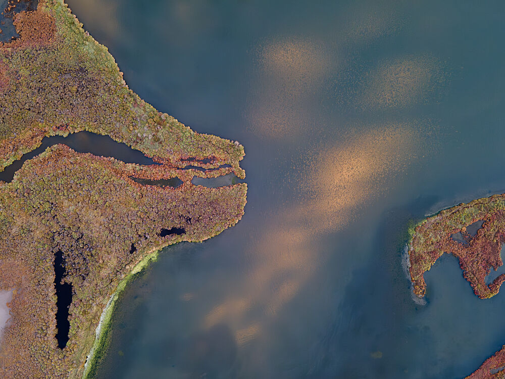 Golden Marshland Aerial art print by Anna Kirchner for $57.95 CAD