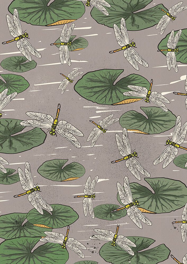 Pond Dragonflies and Lily Pads art print by Nicholas for $57.95 CAD