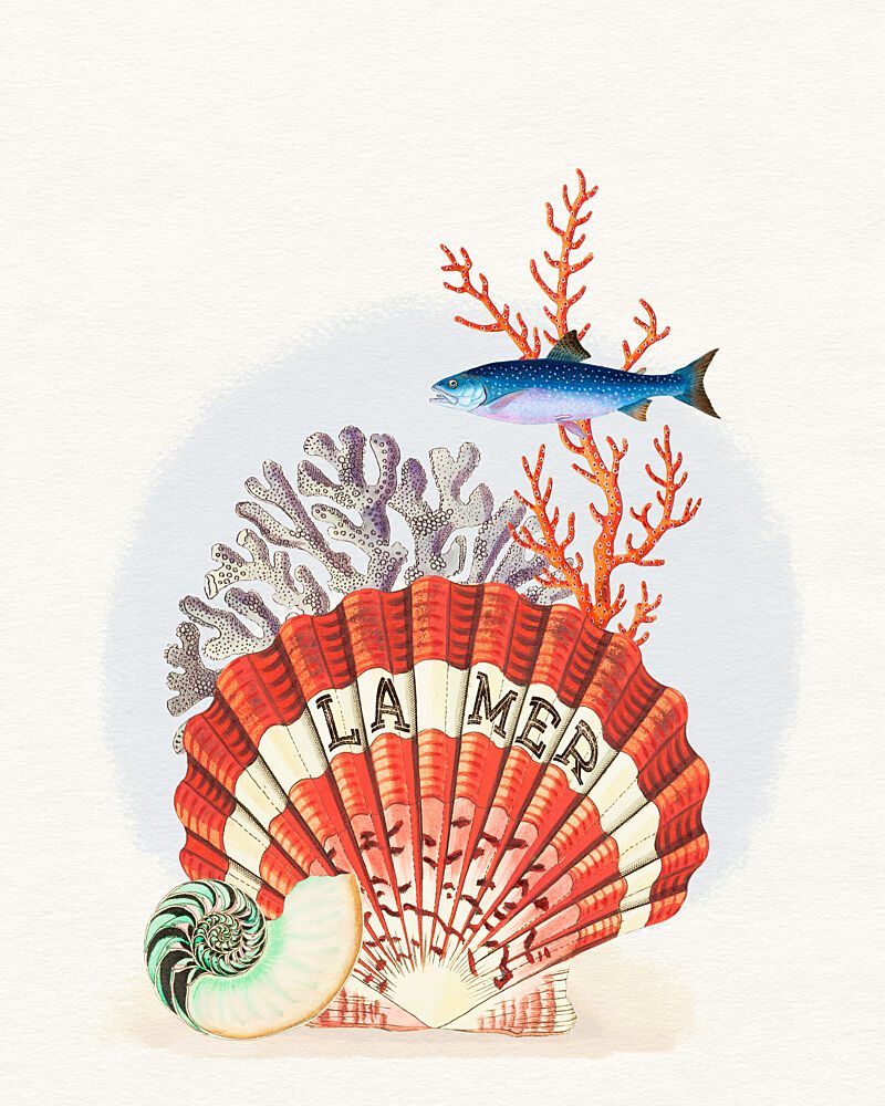 la Mer Marine Treasures art print by Wild Violets for $57.95 CAD