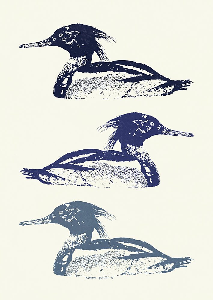 Stacked Blue Mergansers art print by Katariina Kosunen for $57.95 CAD