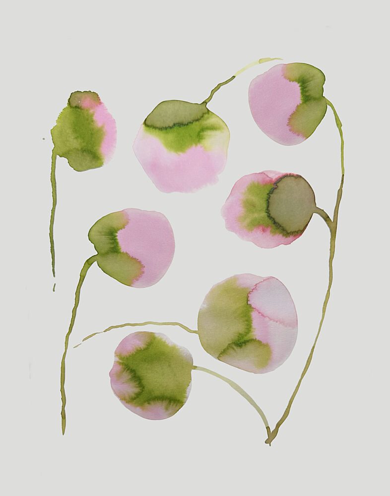 Soft Pink Blossoms art print by Carola Cedell for $57.95 CAD